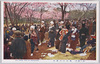 飛鳥山の桜花/Cherry Blossoms of Asukayama image