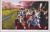 小金井の桜/Cherry Blossoms of Koganei image