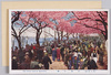 向島の桜/Cherry Blossoms of Mukōjima image