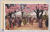 上野公園山王台の桜/Cherry Blossoms at Sannōdai in Ueno Park image