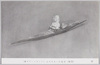 エスキモーの皮舟模型　東グリーンランド/Eskimo Skin Boat Model, East Greenland image