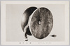 手太鼓　ネパール、ツムジェ/Hand Drum, Tumje, Nepal image