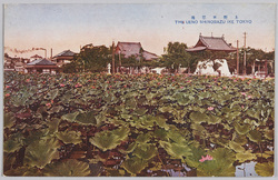 上野不忍池 / Ueno Shinobazu Pond image