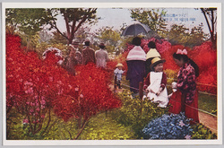 日比谷公園のつつじ / Azaleas of Hibiya Park image