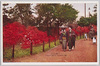 日比谷公園のつつじ/Azaleas of Hibiya Park image