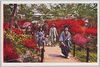 日比谷公園のつつじ/Azaleas of Hibiya Park image