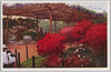 日比谷公園のつつじ/Azaleas of Hibiya Park image