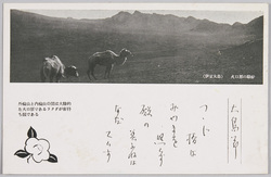 伊豆大島三原山 火口原の駱駝 / Mt. Mihara on Izu Ōshima, Camel in the Crater Field image