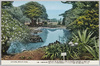 大島自然公園/Ōshima Nature Park image