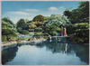 新宿御苑の静寂/The Tranquility of Shinjuku Gyoen image