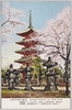 上野公園の春色/Spring Colors of Ueno Park image
