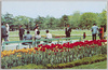 日比谷公園/Hibiya Park image