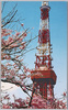 桜と東京タワー/Cherry Blossoms and Tokyo Tower image