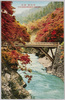 栂尾橋/Togano'o Bridge image