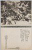 観音寺桜/Cherry Blossoms at Kannondera Temple image