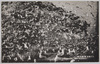 八戸風景蕪島の鴎(天延記念物・海猫)/Hachinohe Scenery, Gulls of Kabushima Island (Natural Monument, Black-tailed Gulls image