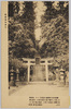 表参道を進む/Walking Along the Sandō Path image
