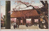 靖国神社の桜花/Cherry Blossoms at Yasukuni Shrine image