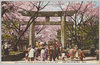 上野公園東照宮前の桜花/Cherry Blossoms in Front of Tōshōgū in Ueno Park image
