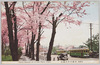 半蔵門外の桜花/Cherry Blossoms Outside Hanzōmon Gate image