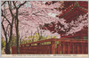 上野公園五重の塔附近の桜花/Cherry Blossoms Near the Five-Storied Pagoda in Ueno Park image