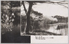 春の池畔/Pondside in Spring image