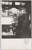 郷社氷川神社/Gōsha Hikawa Shrine image