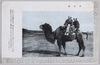 ラクダ/Camel image