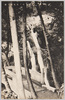 鳩ノ巣隻龍ノ瀧/Sekiryū no Taki Falls, Hatonosu image