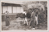 島娘と牛(大島風俗)/Island Girl and Cow (Ōshima Customs) image
