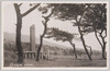 大島為朝の碑/Tametomo Monument, Ōshima image