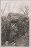 島娘の薪取り(大島風俗)/Island Girl Gathering Firewood (Ōshima Customs) image