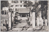 氷川神社の社殿/Hikawa Shrine Main Building image