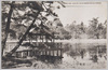三宝寺池の一部と浮御堂/Part of Sampōji Pond and Ukimidō image