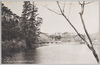 三宝寺池の一部/Part of Sampōji Pond  image