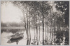新設石神井池の短艇場/The Newly Built Short Boat Course on Shakujii Pond image