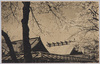 本殿拝殿/Main Hall of Worship at the Main Sanctuary image