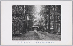 官幣小社大国魂神社絵葉書 / Picture Postcards of the Kanpēshōsha Ōkunitamajinja Shrine image