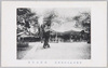 本殿及拝殿/Honden (Main Hall) and Haiden (Worship Hall) image