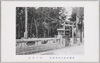鳥居附近/Torii (Shintō Shrine Arch) and Its Surroundings image