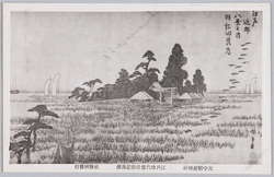 穴守稲荷神社絵葉書 / Picture Postcards of the Anamori Inarijinja Shrine image