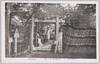 奉納鳥居ノ山/Collection of the Donated Torii (Shinto Shrine Arch) image