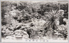 円融寺庫裡庭園/Garden of the Kitchen Building  image