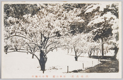 雪中の栗林公園絵はがき / Picture Postcards of the Ritsurin Park with Snow image