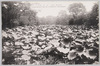 芙蓉池/Fuyōike Pond image