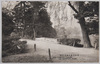 北庭永代橋/Eitaibashi Bridge in the North Garden image