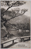 北庭群鴨池/Gunōike Pond in the North Garden image