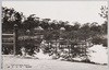 中津公園/Nakatsu Park image