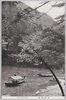 京都嵐山/Arashiyama in Kyōto image