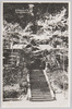 郷社城峯神社/Gōsha Jyōminejinja Shrine image